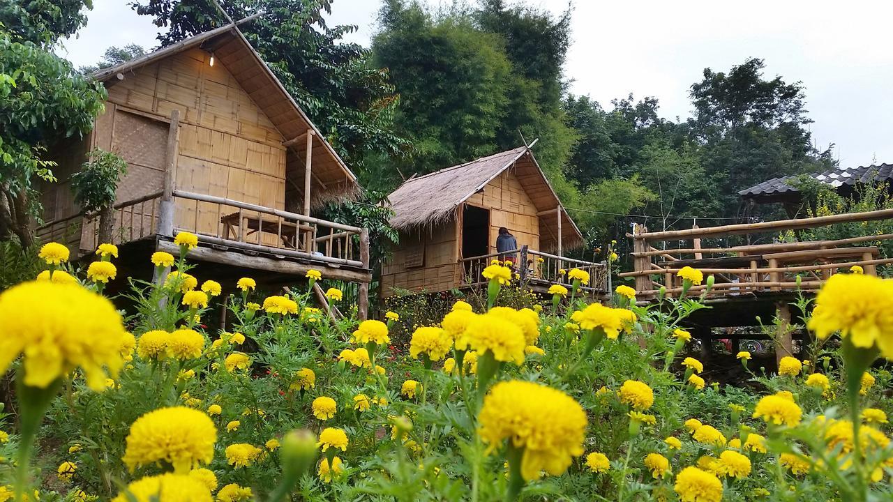 Baan Aingdoi Homestay, Чианг Дао Экстерьер фото