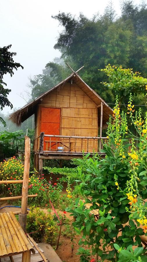 Baan Aingdoi Homestay, Чианг Дао Экстерьер фото