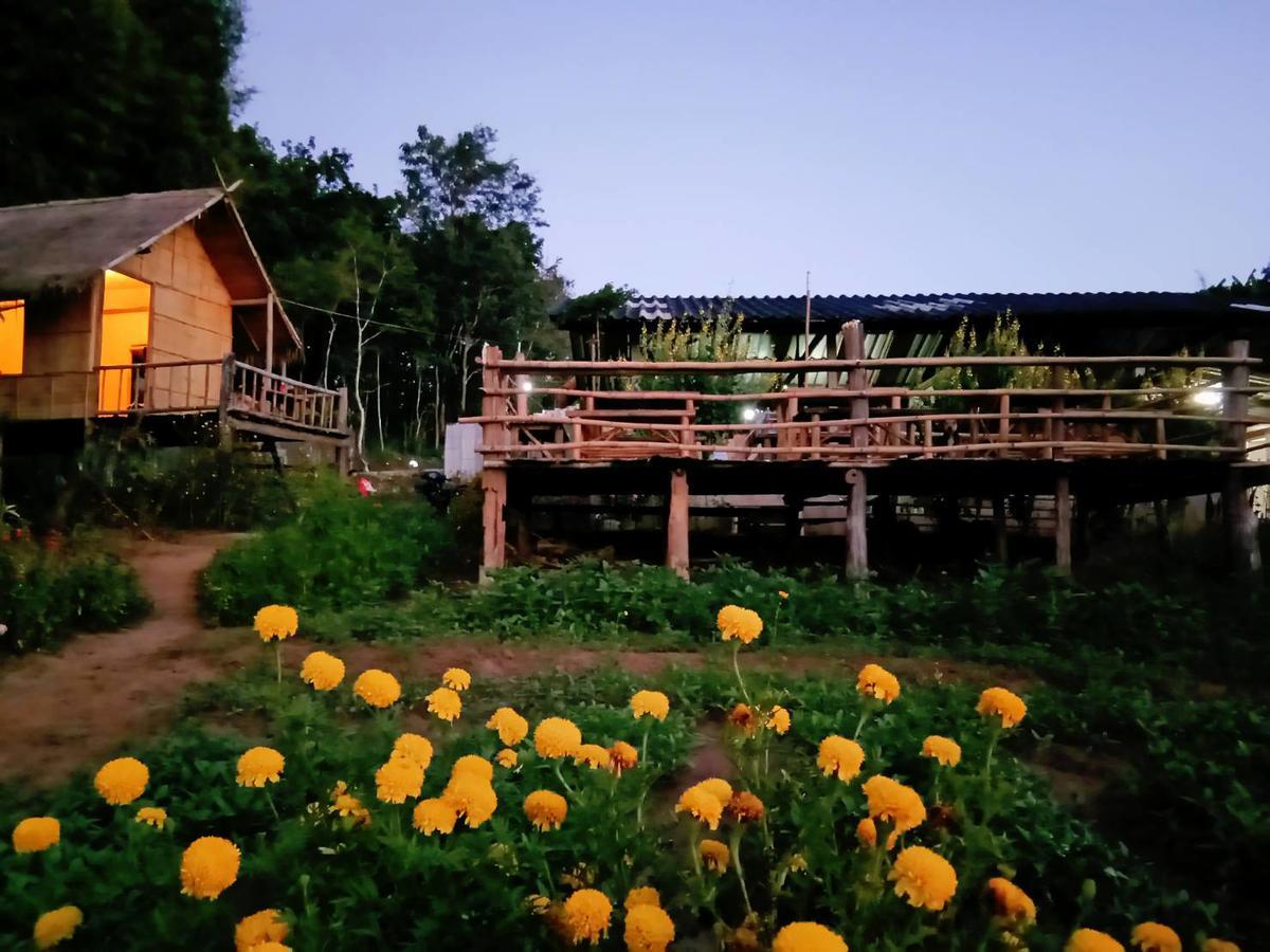 Baan Aingdoi Homestay, Чианг Дао Экстерьер фото