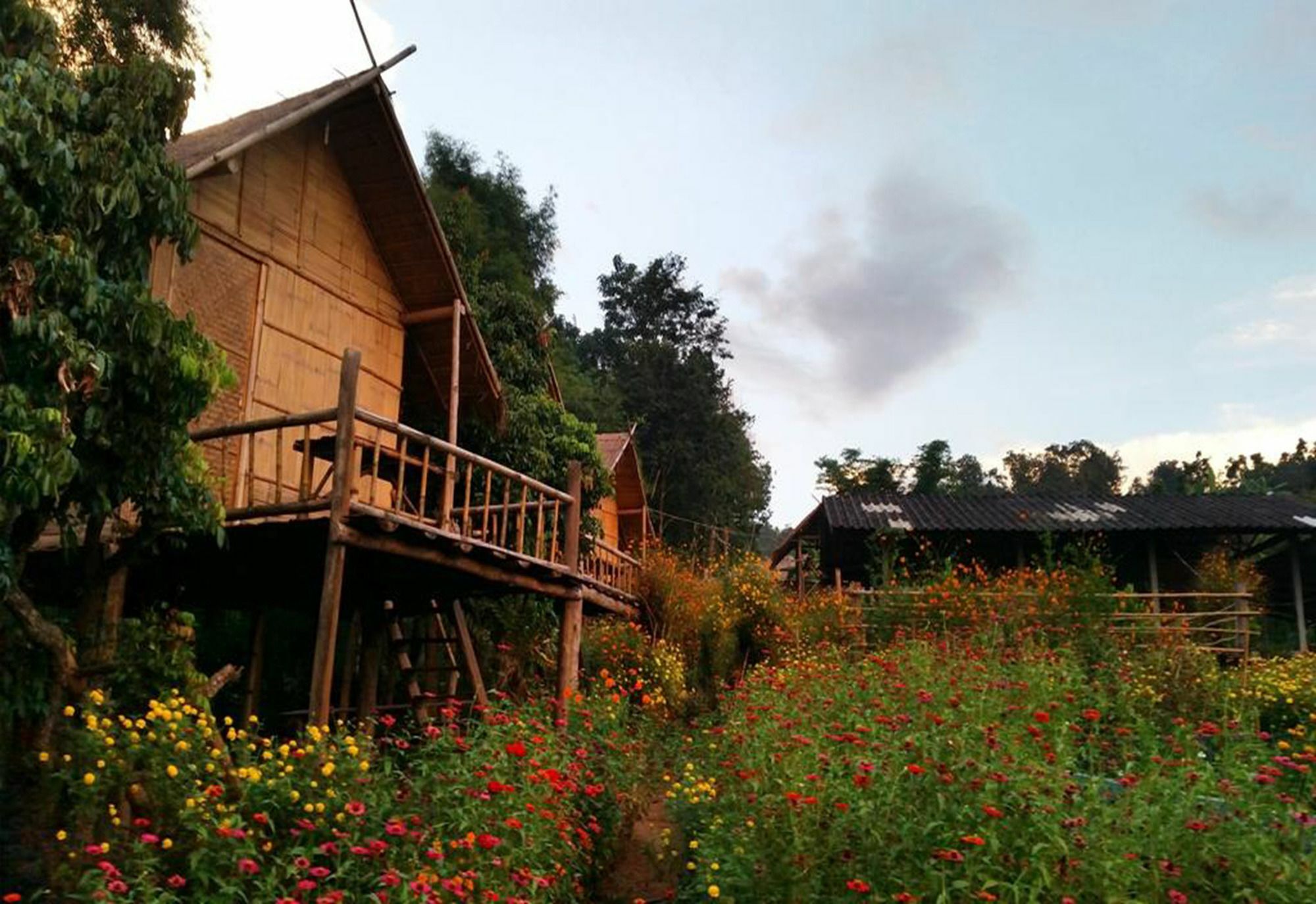 Baan Aingdoi Homestay, Чианг Дао Экстерьер фото