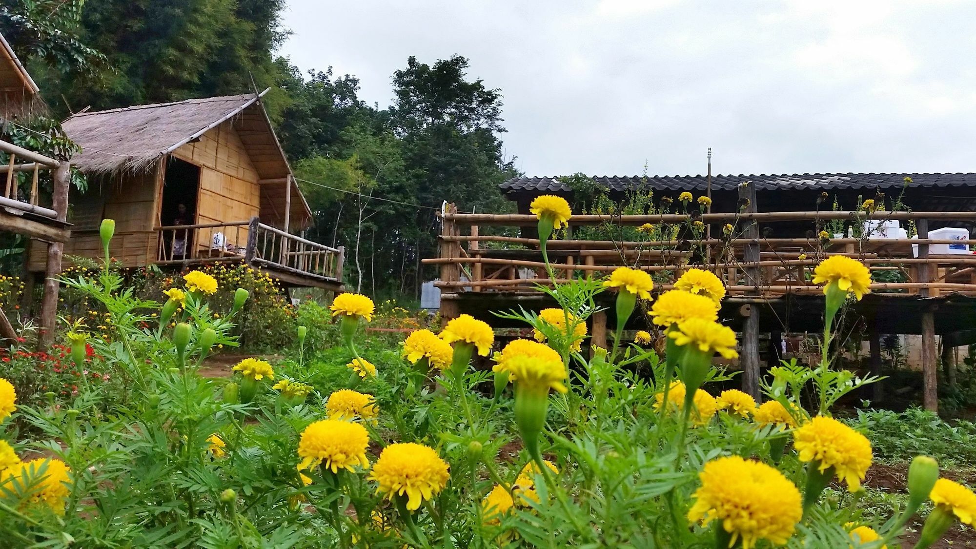Baan Aingdoi Homestay, Чианг Дао Экстерьер фото