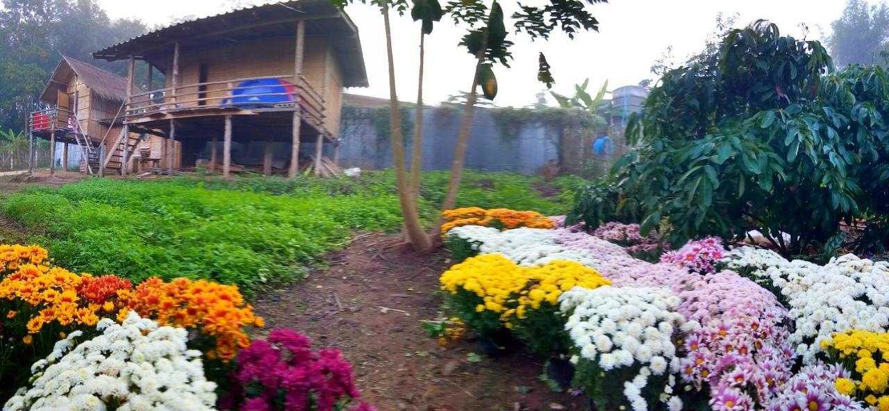 Baan Aingdoi Homestay, Чианг Дао Экстерьер фото